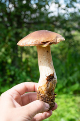 Similar image 21454030