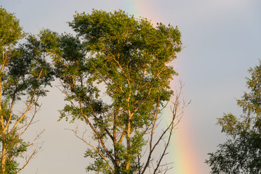 Similar image 21454031