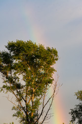 Similar image 21454033