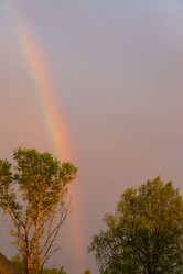 Similar image 21454034