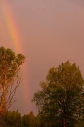 Similar image 21454036