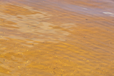 Similar image 21454037