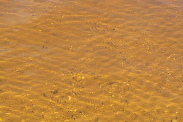 Similar image 21454038