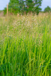 Similar image 21454042