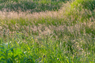 Similar image 21454043