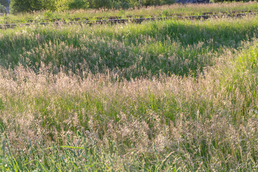 Similar image 21454044