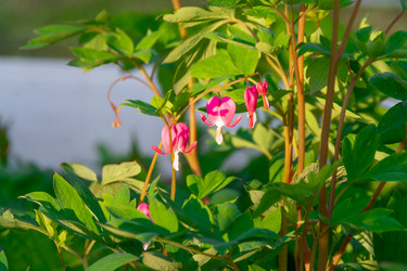 Similar image 21454045