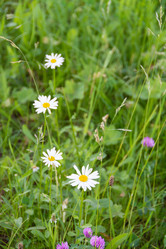 Similar image 21454048