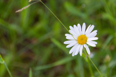 Similar image 21454050