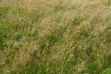 Similar image 21454051