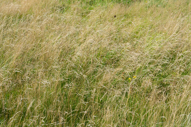 Similar image 21454052