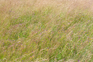 Similar image 21454053