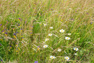 Similar image 21454054