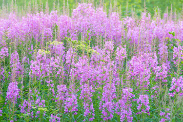 Similar image 21455938