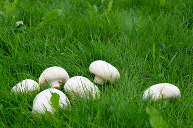 Similar image 21455940