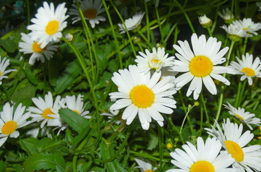 Similar image 21454055