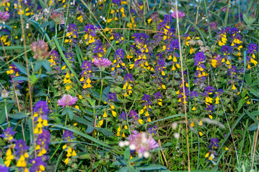 Similar image 21454056