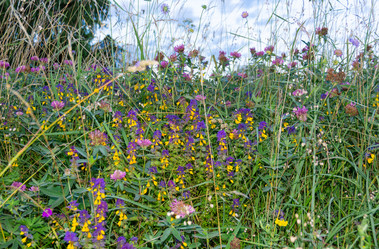 Similar image 21454057