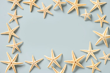 Similar image 21455941