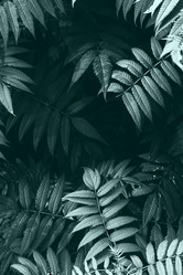 Similar image 21444430