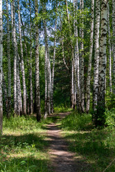 Similar image 21442561