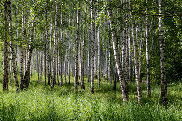 Similar image 21445585