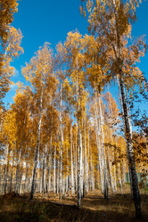 Similar image 21443827