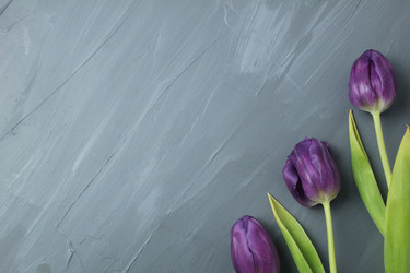 Similar image 21469426