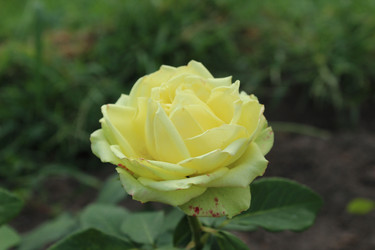 Similar image 21469429