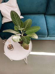 Similar image 21464548