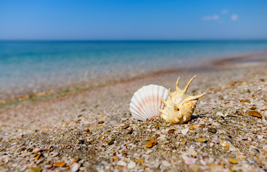 Similar image 21478999