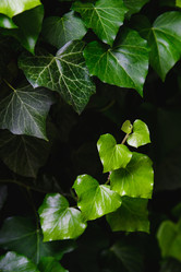 Similar image 21468431