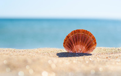 Similar image 21479000