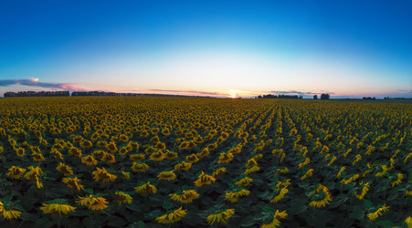 Similar image 21463317