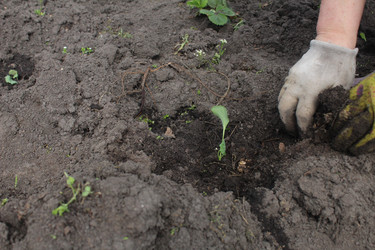 Similar image 21469432