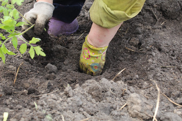 Similar image 21469433