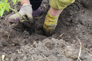 Similar image 21469434