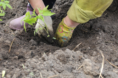 Similar image 21469435