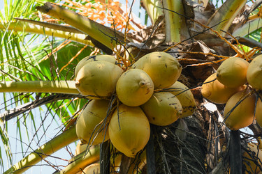 Similar image 21455952