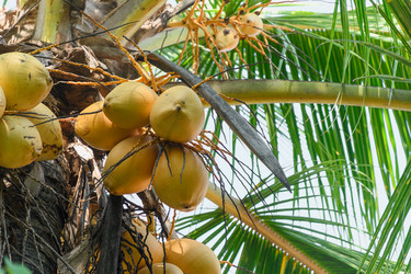 Similar image 21455953