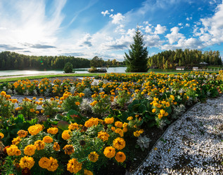 Similar image 21463321