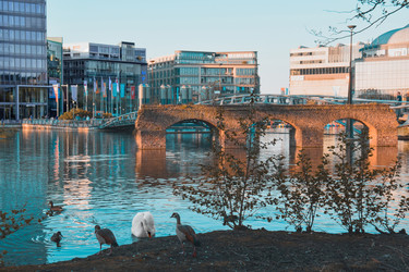 Similar image 21452736