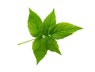 Similar image 21471069