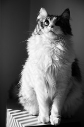 Similar image 21457493