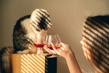 Similar image 21457499