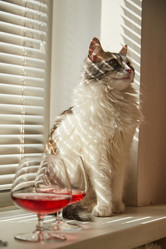 Similar image 21457515