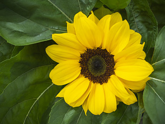 Similar image 21439568