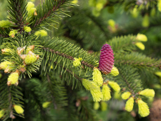 Similar image 21439570