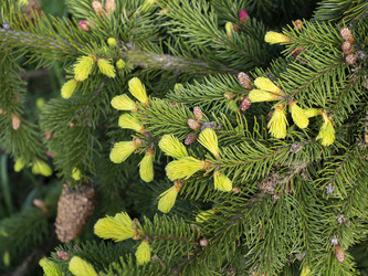 Similar image 21439571