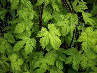 Similar image 21439572